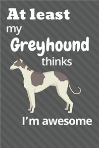 At least My Greyhound thinks I'm awesome