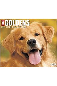 Just Goldens 2018 Box Calendar (Dog Breed Calendar)