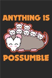 Anything Is Possumble