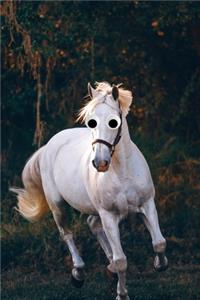 Google Eye Horse Journal