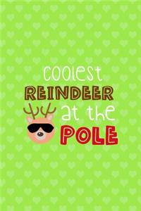 Coolest Reindeer At The Pole