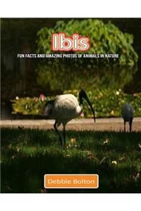 Ibis: Fun Facts and Amazing Photos of Animals in Nature