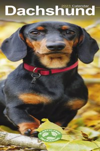Dachshund 2023 Slim Calendar