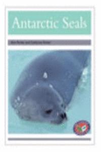 Antarctic Seals PM Non Fiction Level 23&24 Silver: Animal Facts Polar Animals