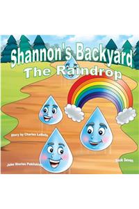 Shannon's Backyard The Raindrop