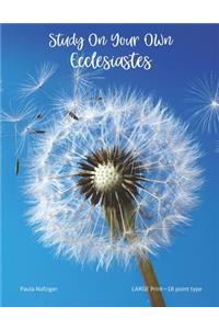 Study On Your Own Ecclesiastes