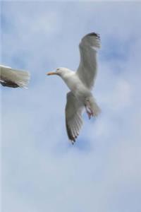 Sea Birds Notebook