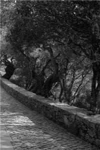 Portugal Garden Path Notebook