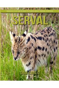 Serval