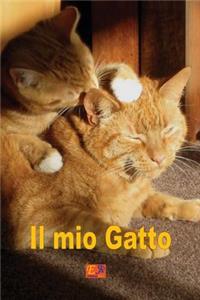 Il Mio Gatto