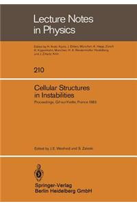 Cellular Structures in Instabilities