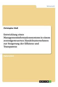 Managementinformationssystem in einem zentralgesteuerten Handelsunternehmen. Steigerung der Effizienz und Transparenz