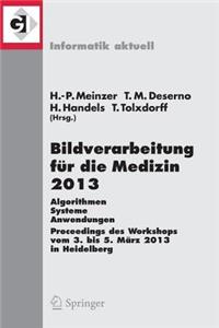 Bildverarbeitung Für Die Medizin 2013