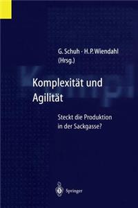 Komplexität Und Agilität