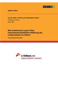 Wie funktioniert Lesen? Eine naturwissenschaftliche Erklärung des Leseprozesses im Gehirn