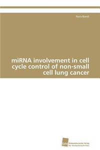 miRNA involvement in cell cycle control of non-small cell lung cancer