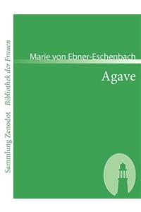 Agave