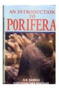 An Introduction to Porifera