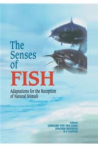 Senses of Fish