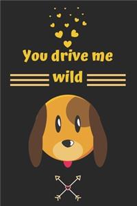 You drive me wild