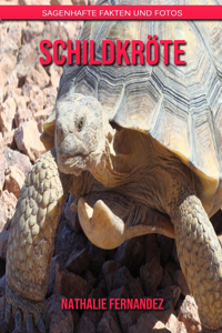 Schildkröte