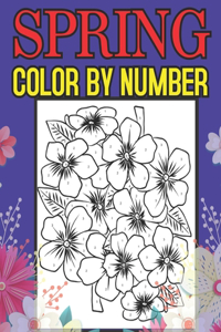 Spring Color By Number