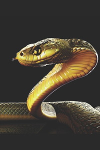 Rise of The Golden Serpent