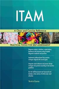 ITAM A Clear and Concise Reference