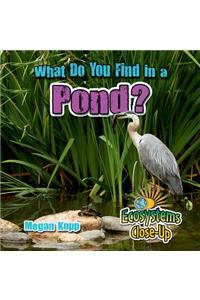 What Do You Find in a Pond?