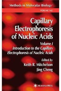 Capillary Electrophoresis of Nucleic Acids