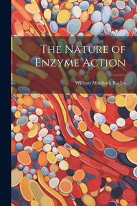 Nature of Enzyme Action