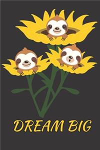 Dream Big