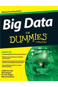 Big Data for Dummies