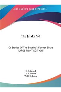 Jataka V6