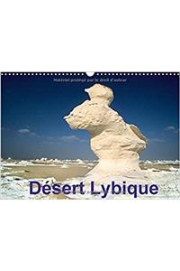 Desert Lybique 2017