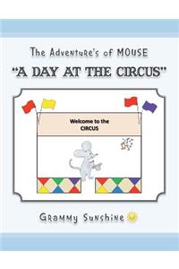 The Adventure's of Mouse