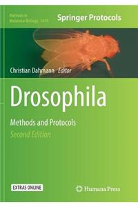 Drosophila