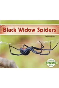 Black Widow Spiders