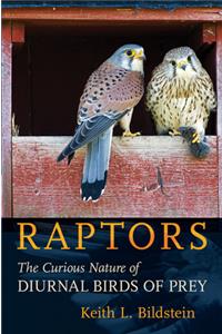 Raptors