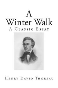 A Winter Walk