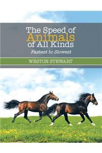 The Speed of Animals of All Kinds: Fastest to Slowest