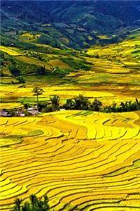 Rolling Hills Journal