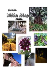 Joe Forte's Villa Mesa Italia