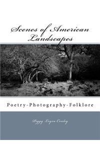 Scenes of American Landscapes