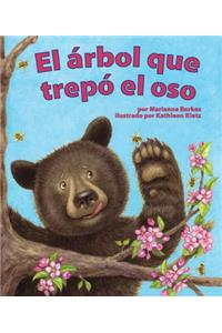 Árbol Que Trepó El Oso