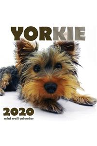 Yorkie 2020 Mini Wall Calendar