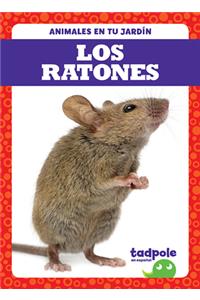 Los Ratones (Mice)