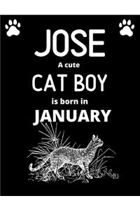 JOSE a cute cat boy is born in January