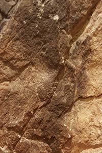 2020 Daily Planner Rock Geology 388 Pages