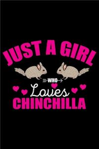 Just a Girl Who Loves CHINCHILLA